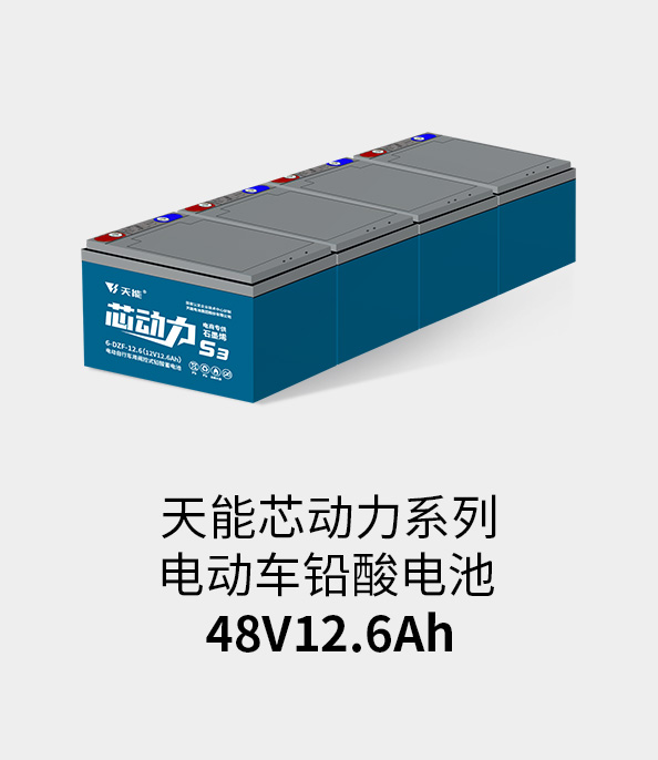 9999js金沙老品牌电池48v12ah