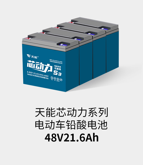 9999js金沙老品牌电池48v20ah