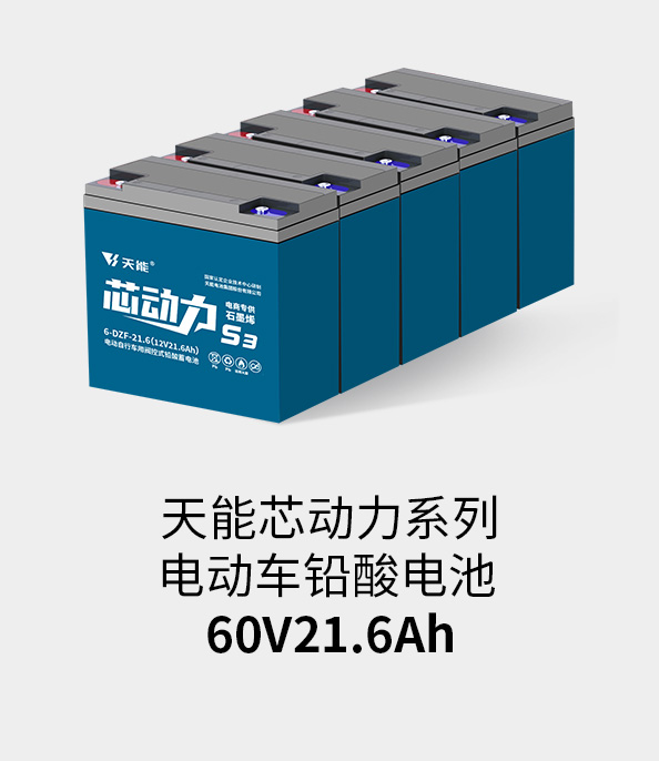 9999js金沙老品牌电池60v20ah