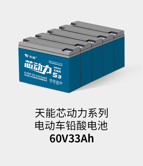 9999js金沙老品牌电池60v33ah