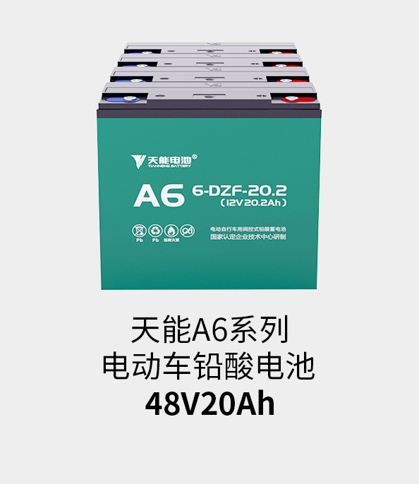 9999js金沙老品牌电池48v20ah