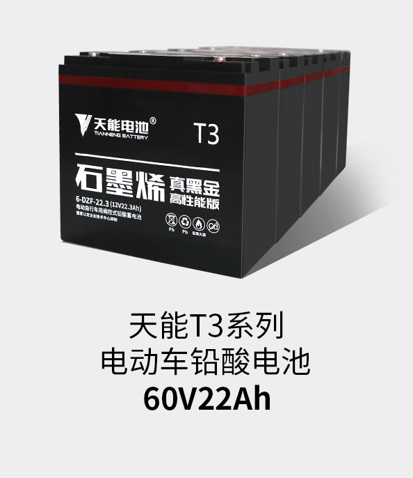 9999js金沙老品牌T3系列60v22ah
